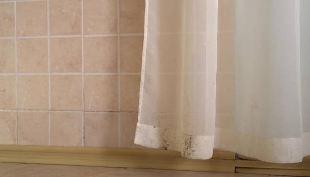 Best Mold-Related Health Consultation  in Wanatah, IN