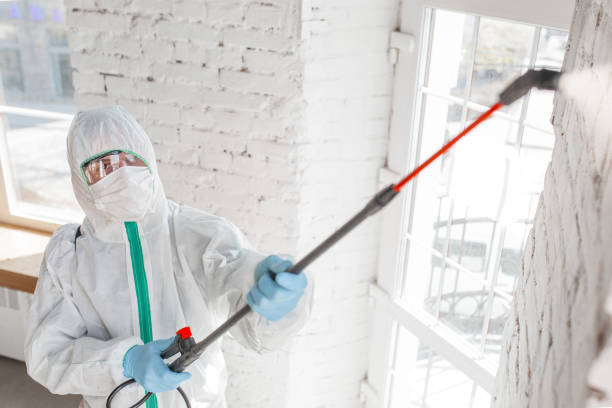 Best Mold Removal for HVAC Installations  in Wanatah, IN
