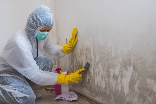 Best Residential Mold Inspection & Testing  in Wanatah, IN