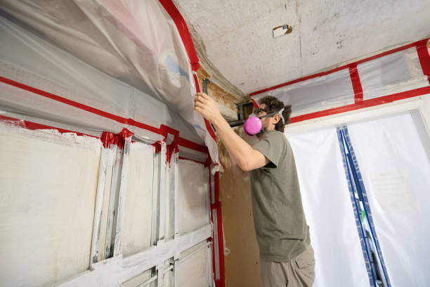 Best Mold Prevention Services  in Wanatah, IN